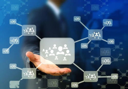 人口流失與技術變革 30萬臨時居民撤離與人工智能應用軟件開發的交織影響